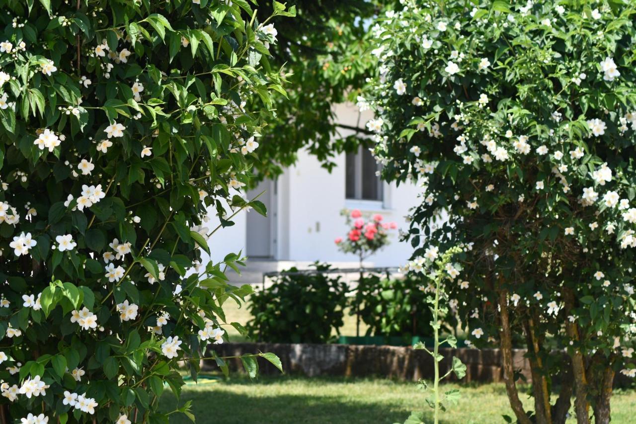 Hotel Casa Del Pellegrino M&A - Ostojici Međugorje Exteriér fotografie